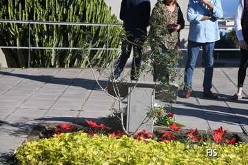 La ULPGC inmortaliza a su recordado profesor Antonio Falcón/FJS Fotografía.